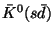 $D^-(d \bar c)$