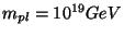 $m_{pl}=10^{19}GeV$